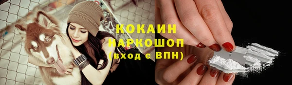 МДПВ Волоколамск