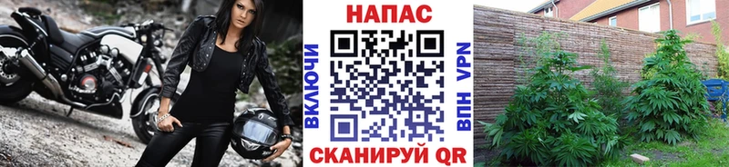 Конопля LSD WEED  гидра зеркало  Новомосковск 